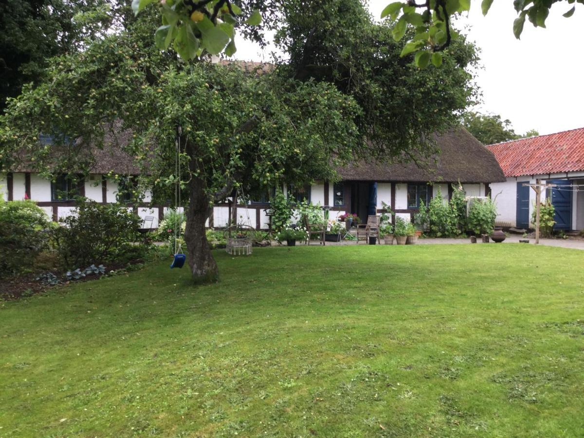 Bed and Breakfast Filippavej 80 Vester-Skerninge Exteriér fotografie